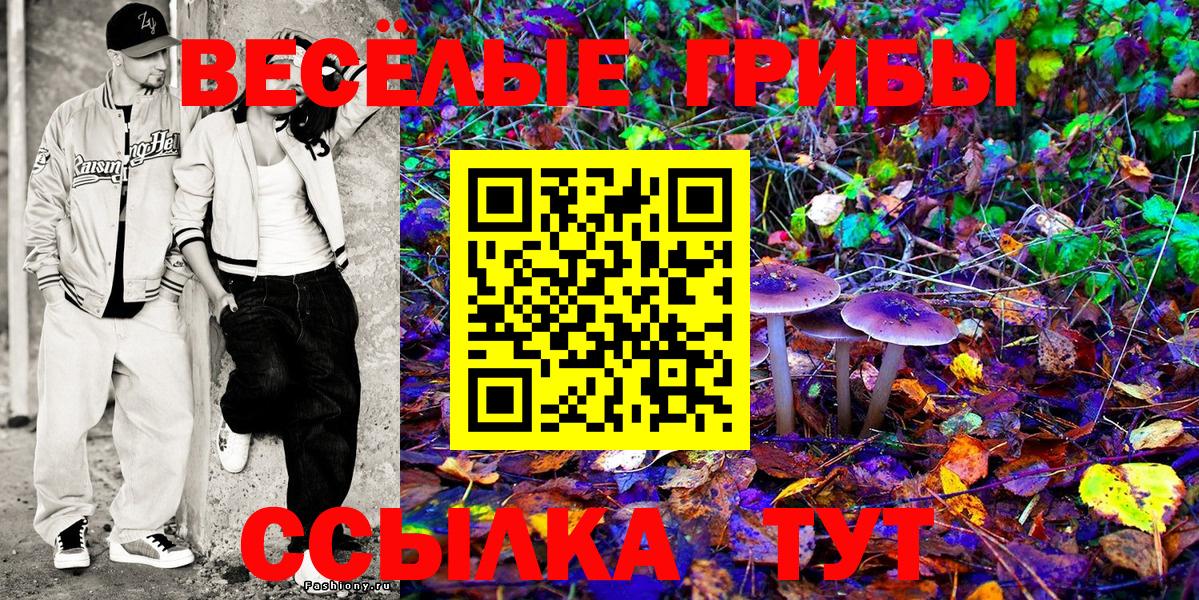 Узловая  Галлюциногенные грибы MAGIC MUSHROOMS  Псилоцибиновые грибы Psilocybe  Вход с VPN 